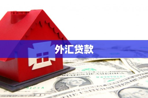 烟台外汇贷款