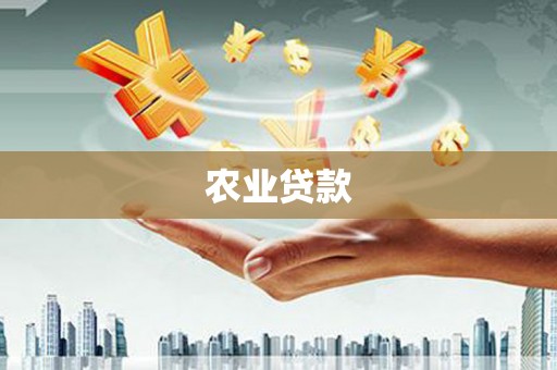 烟台农业贷款