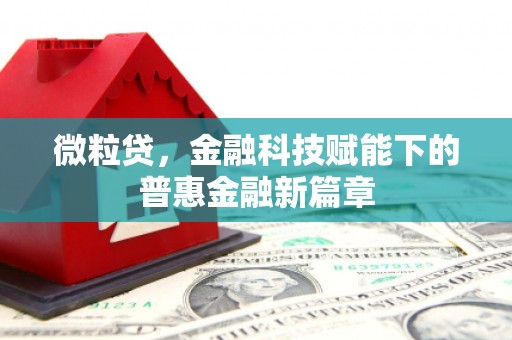 烟台微粒贷，金融科技赋能下的普惠金融新篇章