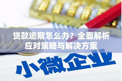 烟台贷款逾期怎么办？全面解析应对策略与解决方案