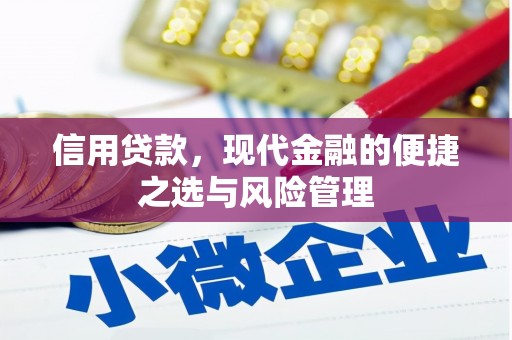 烟台信用贷款，现代金融的便捷之选与风险管理