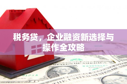 烟台税务贷，企业融资新选择与操作全攻略