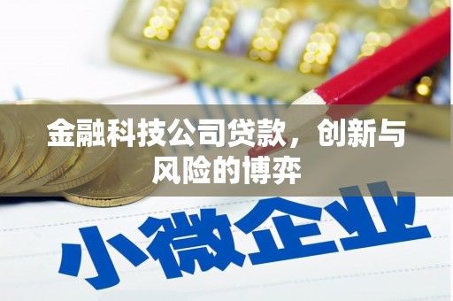 烟台金融科技公司贷款，创新与风险的博弈