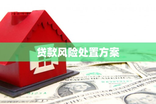 烟台贷款风险处置方案