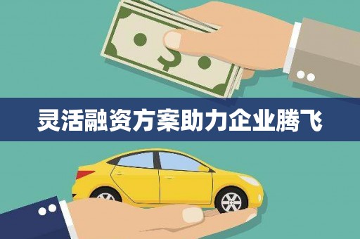 烟台灵活融资方案助力企业腾飞