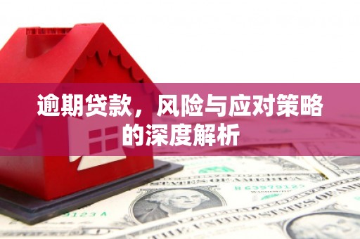 烟台逾期贷款，风险与应对策略的深度解析