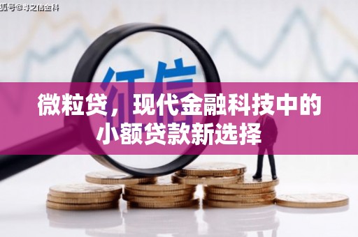 烟台微粒贷，现代金融科技中的小额贷款新选择