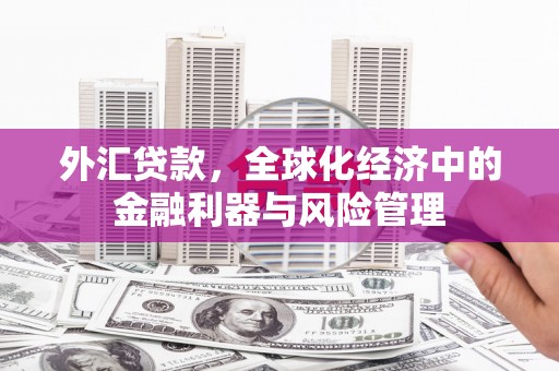 烟台外汇贷款，全球化经济中的金融利器与风险管理
