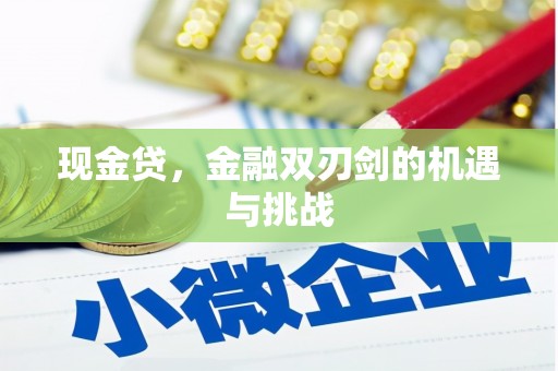 烟台现金贷，金融双刃剑的机遇与挑战