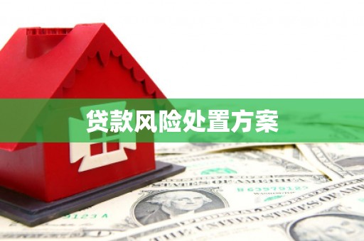 烟台贷款风险处置方案