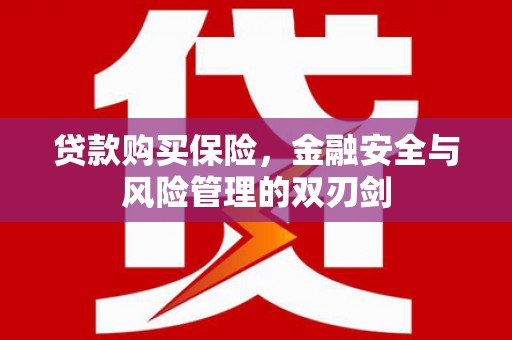 烟台贷款购买保险，金融安全与风险管理的双刃剑