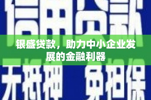 烟台银盛贷款，助力中小企业发展的金融利器