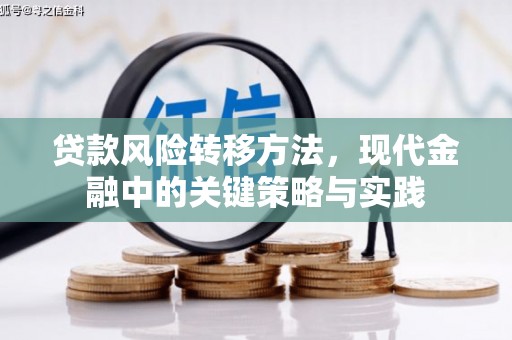 烟台贷款风险转移方法，现代金融中的关键策略与实践