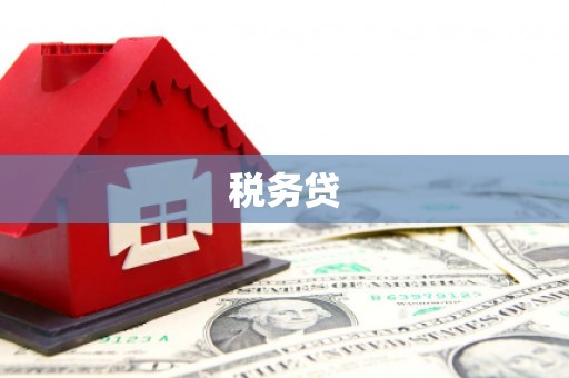 烟台税务贷