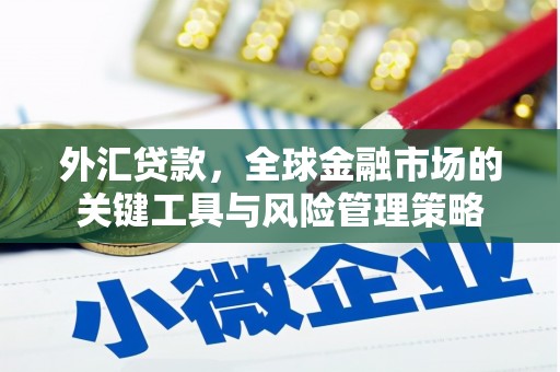 烟台外汇贷款，全球金融市场的关键工具与风险管理策略