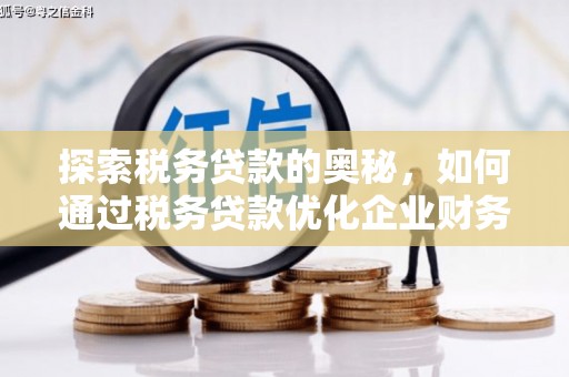 烟台探索税务贷款的奥秘，如何通过税务贷款优化企业财务