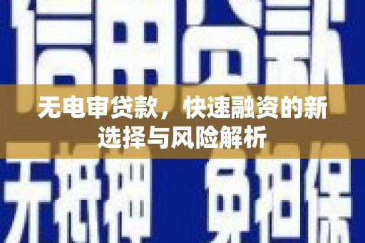 烟台无电审贷款，快速融资的新选择与风险解析