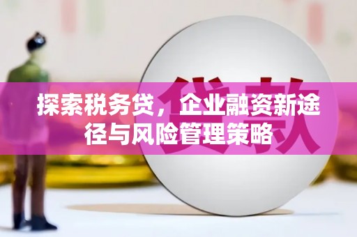 烟台探索税务贷，企业融资新途径与风险管理策略