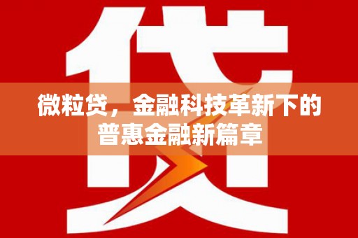 烟台微粒贷，金融科技革新下的普惠金融新篇章