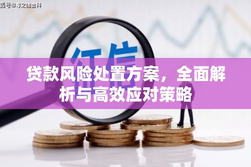 烟台贷款风险处置方案，全面解析与高效应对策略