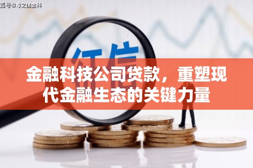 烟台金融科技公司贷款，重塑现代金融生态的关键力量