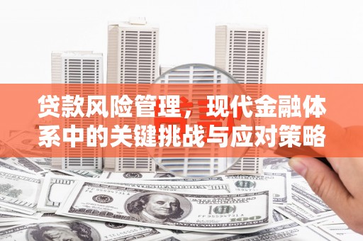 烟台贷款风险管理，现代金融体系中的关键挑战与应对策略