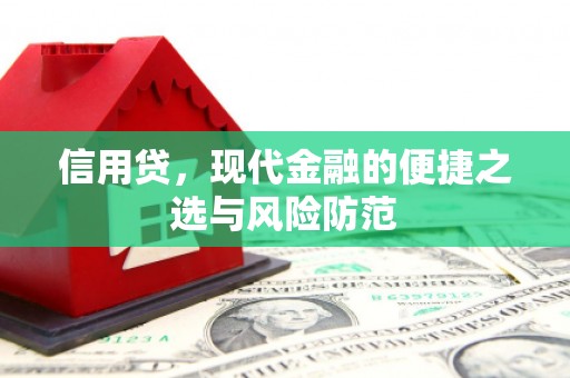 烟台信用贷，现代金融的便捷之选与风险防范