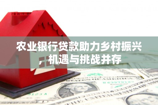 烟台农业银行贷款助力乡村振兴，机遇与挑战并存