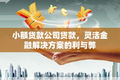 烟台小额贷款公司贷款，灵活金融解决方案的利与弊
